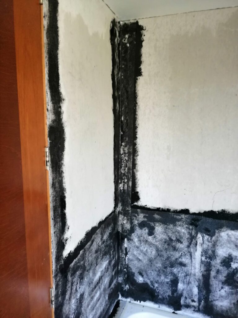 baño2