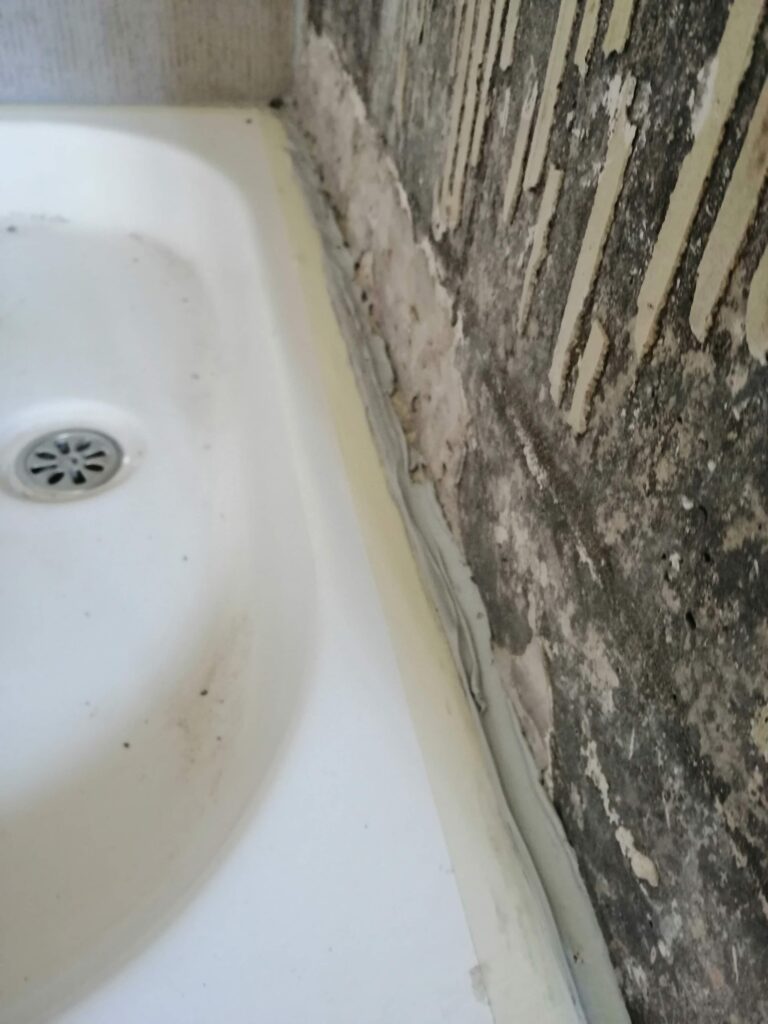 baño3
