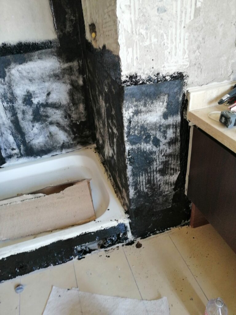 baño6