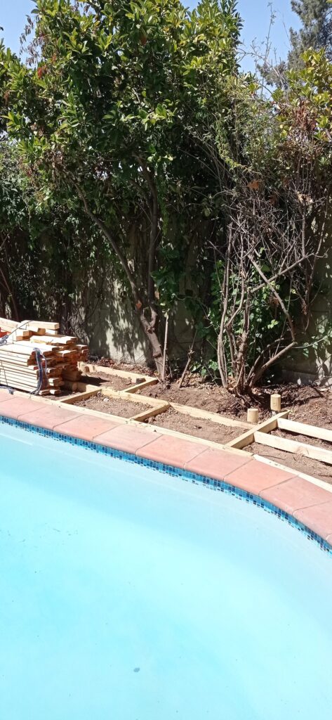deck (4)